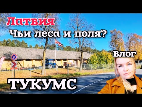 Видео: Собралась и Поехала НА РЫНОК В ТУКУМС СМОТРЕЛА МЕБЕЛЬ КОМУ ПРИНАДЛЕЖАТ ПОЛЯ И ЛЕСА?  #латвия 