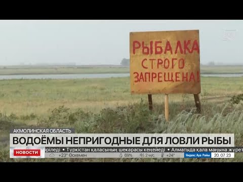 Видео: Два водоема в Акмолинской области оказались непригодными для рыбалки
