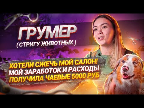 Видео: Стригу животных (о работе грумером, заработке и заказах)