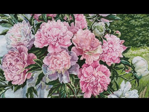 Видео: Пионы у окна, Лукас, В594.