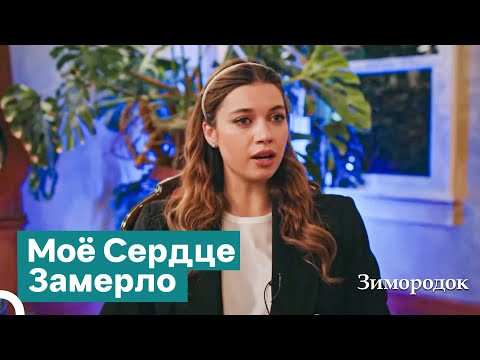 Видео: Это расставание не как раньше! | Зимородок
