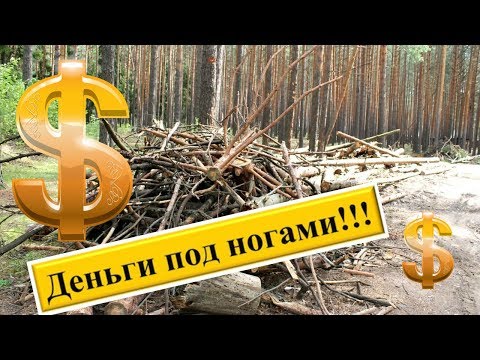 Видео: Сколько можно ЗАРАБОТАТЬ на ВАЛЕЖНИКЕ