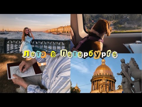 Видео: Влог #21 | Петербург, life style, путешествие с собакой и последний летний влог