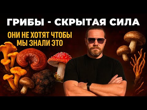 Видео: СКРЫТАЯ СИЛА ГРИБОВ - ПРАВДА ОТ КОТОРЫЙ ТЫ БУДЕШЬ В ШОКЕ