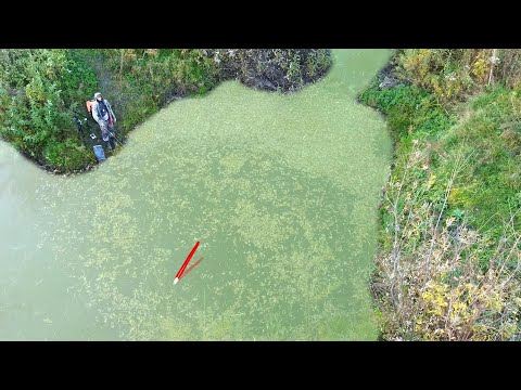 Видео: ТАЙНАЯ ЛУЖА РАЗДАЁТ КРУПНЯК на ПОПЛАВОК! Жор в запруде на удочку. Рыбалка на карася 2025