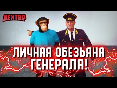 Видео: УГАР! ЕРЖАН - ЛИЧНАЯ ОБЕЗЬЯНА ГЕНЕРАЛА! ОТРАВИЛИ И БИЛИ? (Next RP)