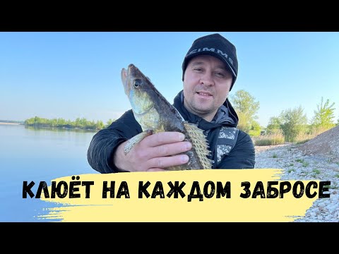 Видео: Нас выгнали с моста Судак клюёт один за другим