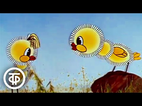 Видео: Первые встречи. Мультфильм (1973)