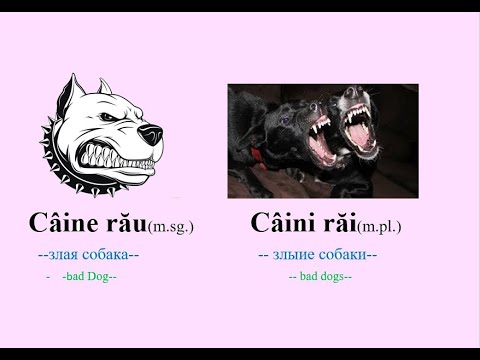 Видео: Прилагательные румынского языка часть_2. Уроки румынского языка онлайн по Скайпу!