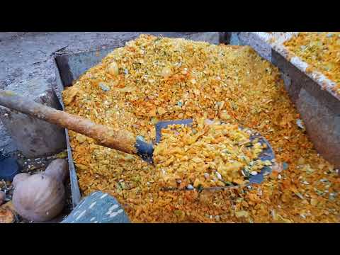 Видео: Гиссарские и арашан овцы. г.Шу. Анвар Рустемов +77017224679 (ватцап)