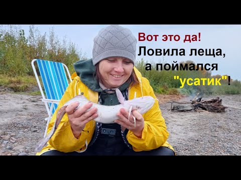 Видео: Хотела поймать леща, а поймался усатик. Подъем воды и бесклевье, а у меня трофей. Клевая рыбалка!