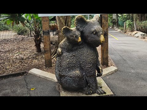 Видео: Сравниваю жизнь в Брисбене и Абу-Даби