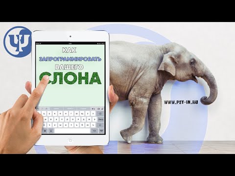 Видео: Как запрограммировать вашего слона. Ковалев С.В.