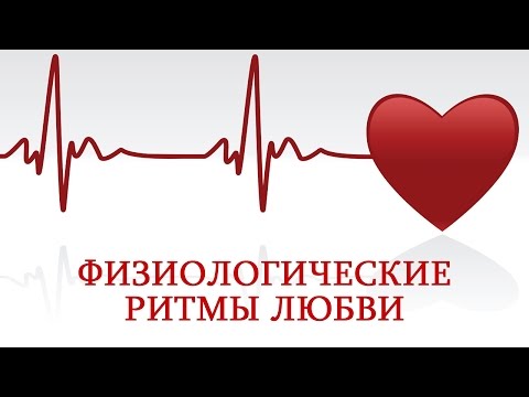 Видео: Физиологические ритмы любви