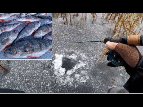 Видео: Ловля окуня на балансир , Ловля Щуки на балансир, Зимня Рибалка на балансир