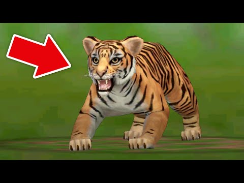 Видео: РОДИЛСЯ ТИГРЕНОК в WILDCRAFT