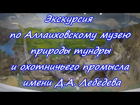 Видео: Часть 14. Экскурсия по Аллаиховскому музею природы тундры и охотничьего промысла имени Д.А. Лебедева