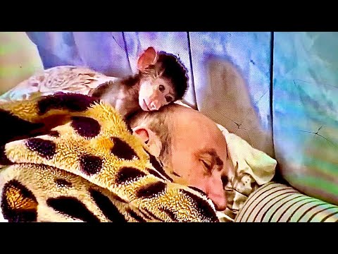 Видео: И снова я не сплю, снова смотрим замечательные ролики Руслана Яковлева)