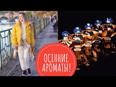 Видео: ЛЮБИМЫЕ АРОМАТЫ , КОТОРЫЕ НОШУ ЭТОЙ ОСЕНЬЮ! ❤️ ЛЮКС И НИША  🍂 ☕ 🎃