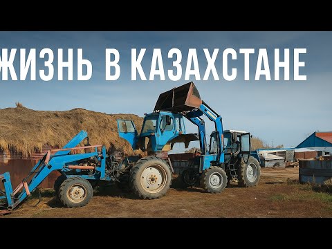 Видео: Снимаем кабину с МТЗ для осмотра кпп и для установки шестерни на передний ведущий мост.