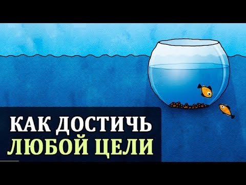 Видео: Зона Комфорта. Саморазвитие. Закон Успеха