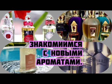 Видео: Знакомимся с новыми ароматами.#perfumefragrance #nicheparfum