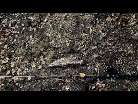 Видео: Рыбалка за 02.11.2025г.Закрытие сезона 2025г.По жидкой воде удалось!Ловля щуки и окуня!