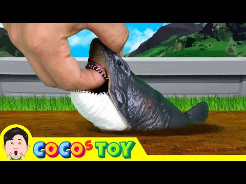 Видео: Мегалодон живет у меня во дворе!｜акулы для детей｜CoCosToy