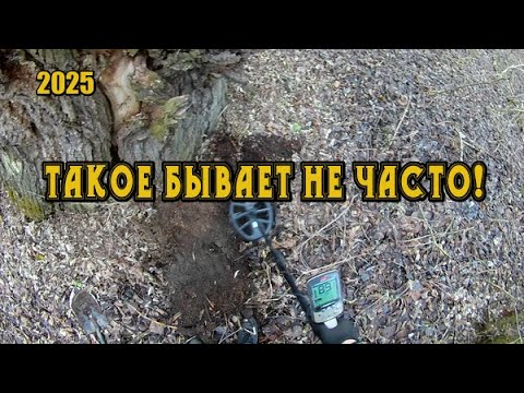 Видео: Пока копал думал поседею! Я в ШОКЕ, а вот так находят КЛАДЫ! Поиск с металлоискателем старого хутора