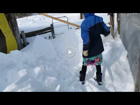 Видео: 😲Очистка крыши от снега! 🔥Хороший способ! часть 3