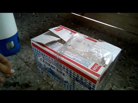 Видео: Поступление новых голубей. Широкохвостые пёрые.