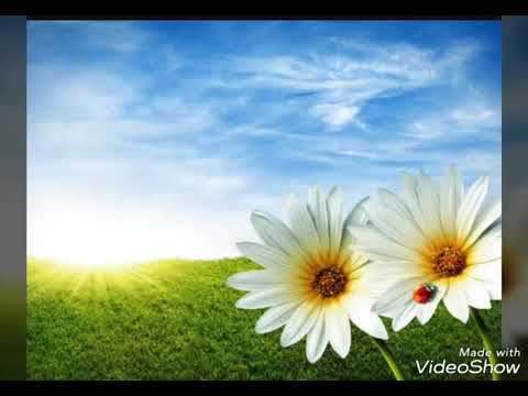 Видео: Фахриддин Ҷалолов Аз он рӯзе ки мурданро ба чашми худ аён бини