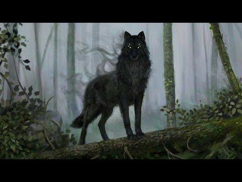 Видео: Хранители волков.Глава 13.Часть #1.