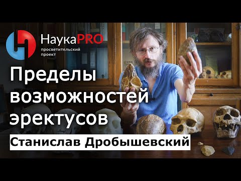 Видео: Пределы социальной организации эректусов – Станислав Дробышевский | Лекции по антропологии | Научпоп