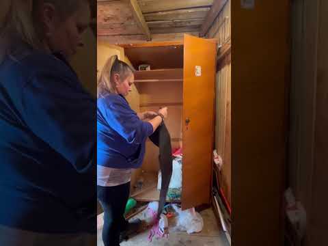 Видео: 7 октября 2025 г.