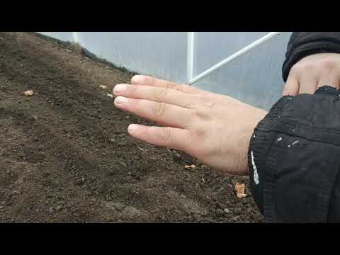 Видео: удачная модель теплицы. обзор