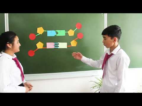 Видео: Оспанова У.Т. - ДНҚ құрылысы тақырыбында STEM тәсілі