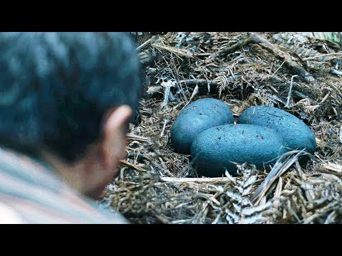 Видео: Туристы пытаются ВЫЖИТЬ в странном месте, которое кишит неизвестными СУЩЕСТВАМИ [краткий пересказ]