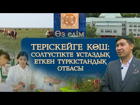 Видео: Теріскейге көш: Солтүстікте ұстаздық еткен түркістандық отбасы | Өз елім