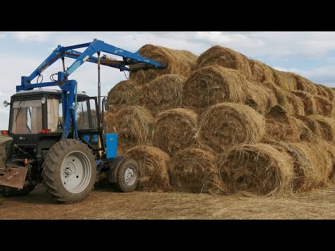 Видео: СЕНОКОС 2024. Вывезли рулоны с первого поля. Ремонт тормозов на Урале