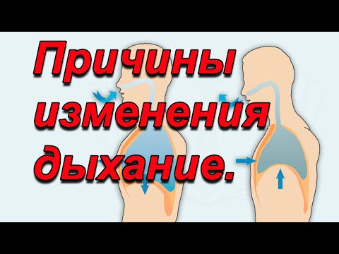 Видео: Причины нарушения дыхания