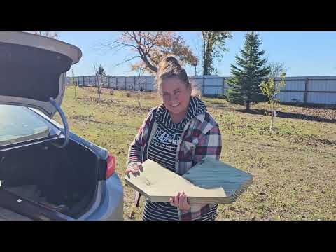 Видео: ВОЗВРАТ ДЕНЕГ КАК БОНУС В США! 