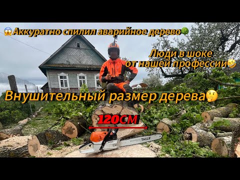 Видео: Арбористика‼️Аккуратно спилил огромный, сломанный , аварийный клен 120 см в диаметре по частям.