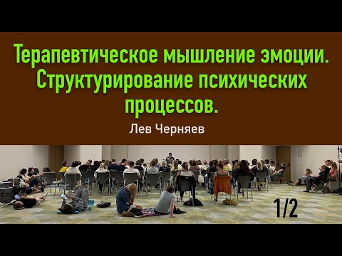 Видео: Лекция 4я. Черняев Лев. Терапевтическое  мышление и эмоции. Структурирование психических процессов.