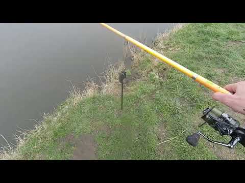 Видео: рыбалка  Ставропольский Край пеньки  8.04.22 сезон открыт