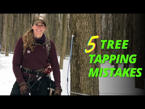 Видео: ИЗБЕГАЙТЕ ЭТИХ 5 ОШИБОК ПРИ НАЖИВАНИИ! 😱🍁