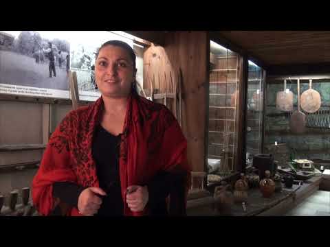 Видео: ПРЕДИ 60 ГОДИНИ РОДИ СЕ „БЪЛГАРЧЕ“ – документален филм