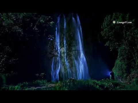 Видео: ДАРГАЛА МАВЛИД-01