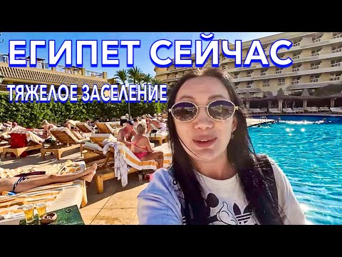 Видео: Египет 2024. ЛУЧШАЯ четверка ЕГИПТА‼️Sindbad Club 4*. СВЕЖИЙ ОБЗОР.  Хургада сейчас