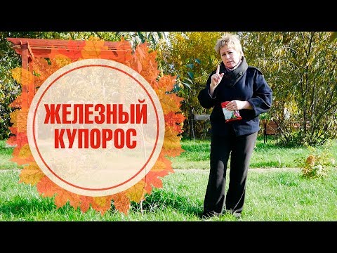 Видео: Железный купорос | сульфат железа | обработка сада железным купоросом